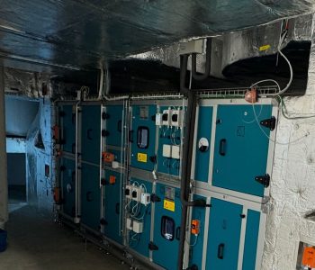 WhatsApp Image 2026-01-29 at 10.21.08 AM